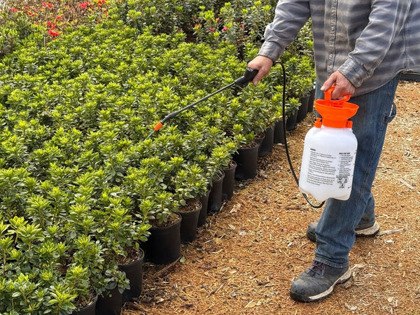 Beneficial Nematodes: A Natural Solution for Garden Pests - Rocky Knoll Farm