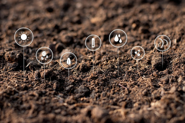 Soil Tips for Your Garden - Rocky Knoll Farm